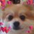Cindy Smith Peters's profile image