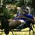 Chuck Creamer's profile image