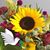 Kellie L. O'Shea's profile image