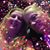 Carol Flanagan-Van Belle's profile image