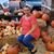 Stephanie Sanchez's profile image