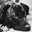 Mëlänï's profile image