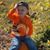 Sheila Bryant Epperley's profile image