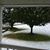 Glenn Shaffer's profile image