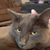 Shearleigh Jackson's profile image
