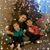 Jade-Hieu Pham's profile image