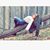 Caitlin Grace's profile image