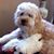 Susan Wade's profile image
