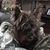 Elaine Young's profile image