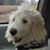 Kathy Starbuck's profile image