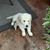 Marge Ward Broadway's profile image