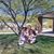 Cynthia Billotte's profile image