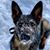Amber L. Molden's profile image