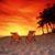 Desiree Weinandt's profile image