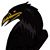 Phil Man's profile image