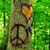 Beth Pledger's profile image