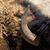 Joel La Follette's profile image