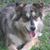 Darlene Burns's profile image