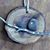 Lisa Perotti Waddell's profile image