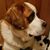 Pamela Cartwright's profile image