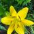 Tanya Schroeder's profile image