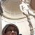 Susan Feldman Tucker's profile image
