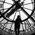 Joy Lucas Josephs's profile image