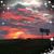 Bev Huff's profile image
