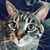 Kerri Jacobson's profile image