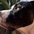 Susan Empizo Vega's profile image