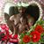 Samantha Sponaugle Rakes's profile image