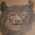 Rick Rhino Carey's profile image