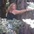 Joyce Ann Linsenbigler McDermott's profile image