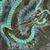 Clint Marvin's profile image