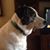 Lynn Hairston's profile image