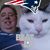 Tom Desautel's profile image