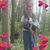 LeeAnna Sloan-Wiggs's profile image