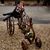 Deanna Carter Perkins's profile image