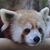 Ronna Stoe's profile image