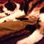 Jen Eckert's profile image