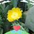 Teresa Weaver's profile image