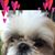 Karyn Cruise Migliosi's profile image