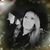 Stacy Sawyer Giles's profile image