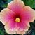 Heather Glisson Scott's profile image