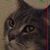Celia Hernandez's profile image