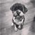 Tina Gordon Hutchinson's profile image