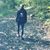 Rachel Fredericks Wyckoff's profile image