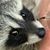 Linda Herring Behrend's profile image