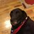 Tim Nasworthy's profile image