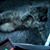 Linda J. Arris's profile image
